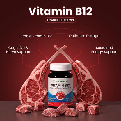 Vitamin B12 - Nutrifactor Brain & Nerves - Image 3