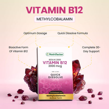 Bzolve 2000 - Nutrifactor Brain & Nerves - Image 3