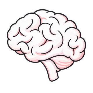 Brain & Nerves