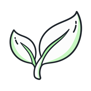 Herbal Health