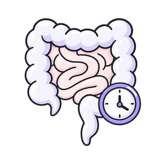 Gut Health