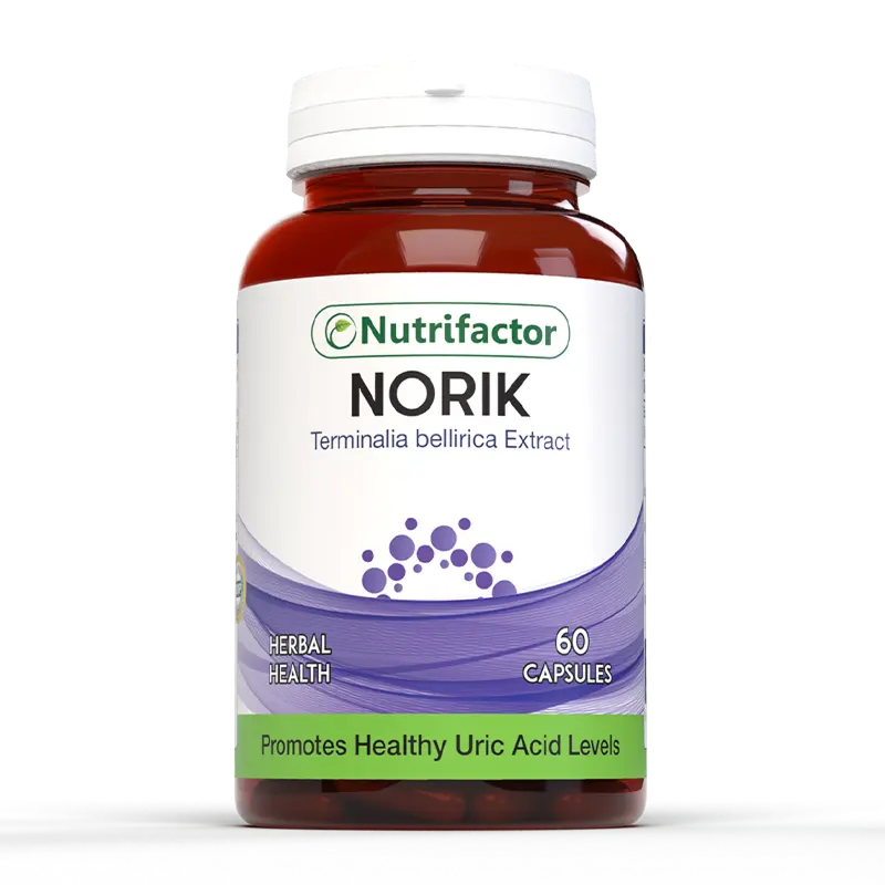 Norik - Nutrifactor Bones & Joints