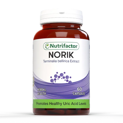 Norik - Nutrifactor Bones & Joints