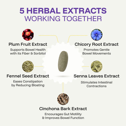 Nutri Plum - Nutrifactor Gut Health - Image 4