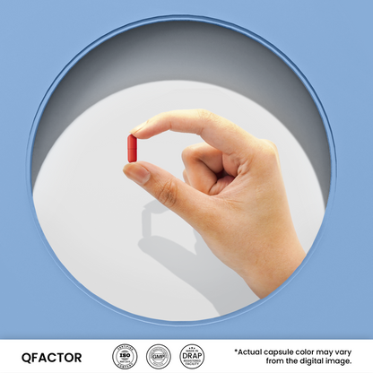 Qfactor - Nutrifactor Heart Health - Image 2