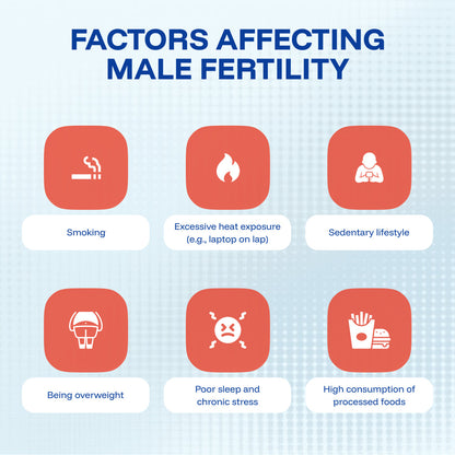 Tryception + Duron Plus Offer - Nutrifactor Fertility Support - Image 5