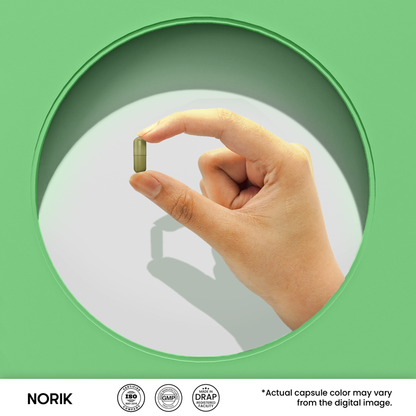 Norik - Nutrifactor Bones & Joints - Image 2